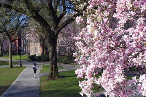 spring campus scene